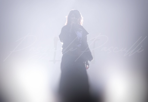  DSC8347