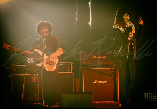  DSC8530