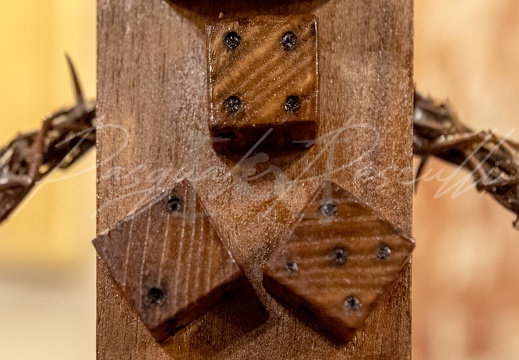  DSC5774