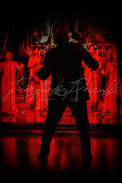 PAS 6204 copia - PAS_6204 copia.jpg PAS_6204 copia.jpg
