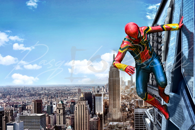 Spiderman Sky.jpg