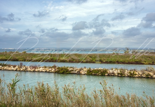  DSC1670